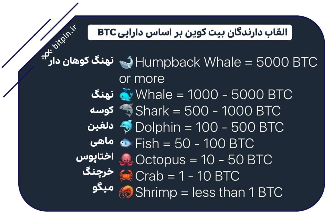 القاب دارندگان بیت کوین، از نهنگ تا میگو!