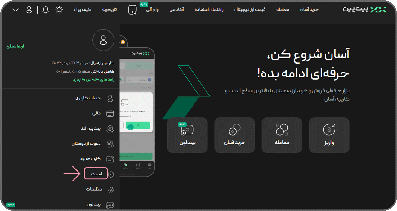 بیت پین - امنیت