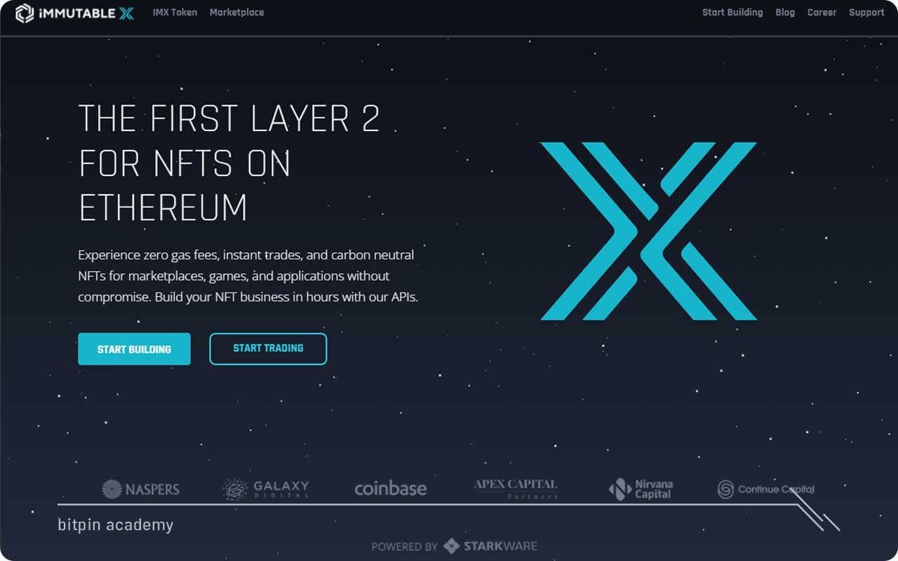 ایمیوتبل ایکس یا IMX