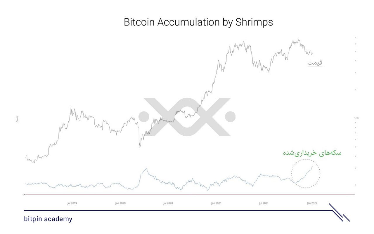 q4 گزارش و تحلیل اختصاصی بازار با استفاده از دیتای آن‌چین (On-Chain) (اختصاصی بیت‌پین)