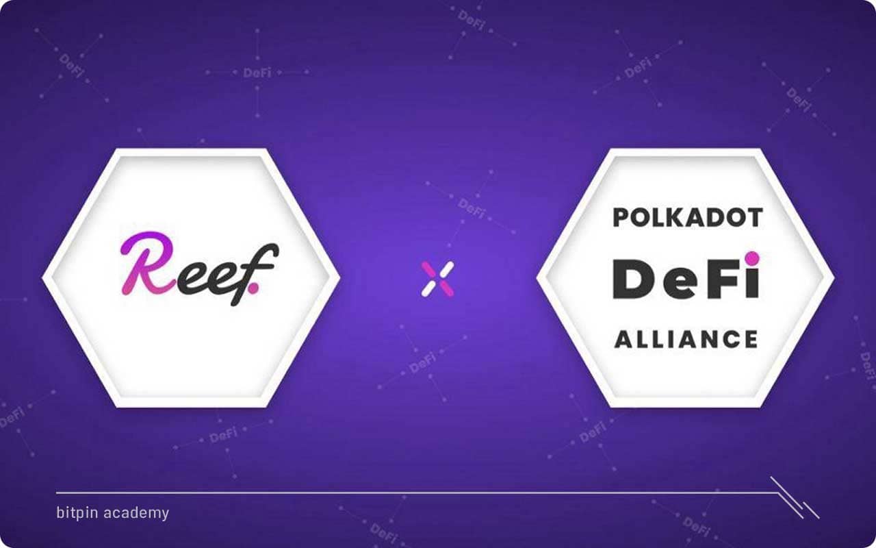 ریف (REEF) چگونه کار می&zwnj;کند؟