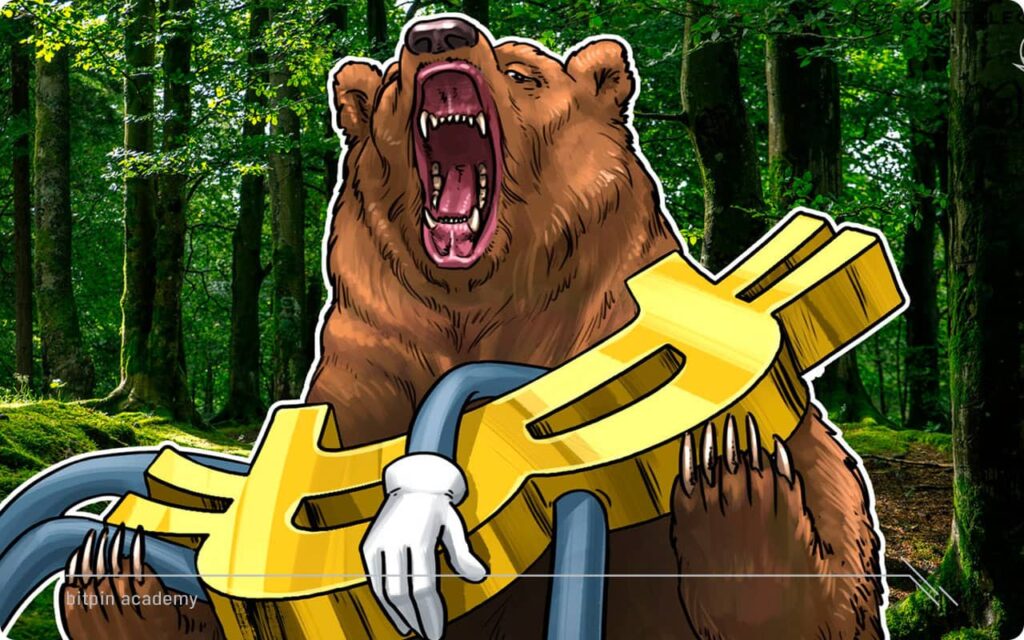 پنج روش کلیدی برای ترید در بازار خرسی کریپتوکارنسی