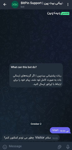 ربات تلگرامی بیت پین