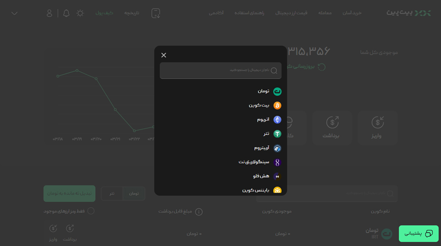 واریز به کیف پول بیت پین
