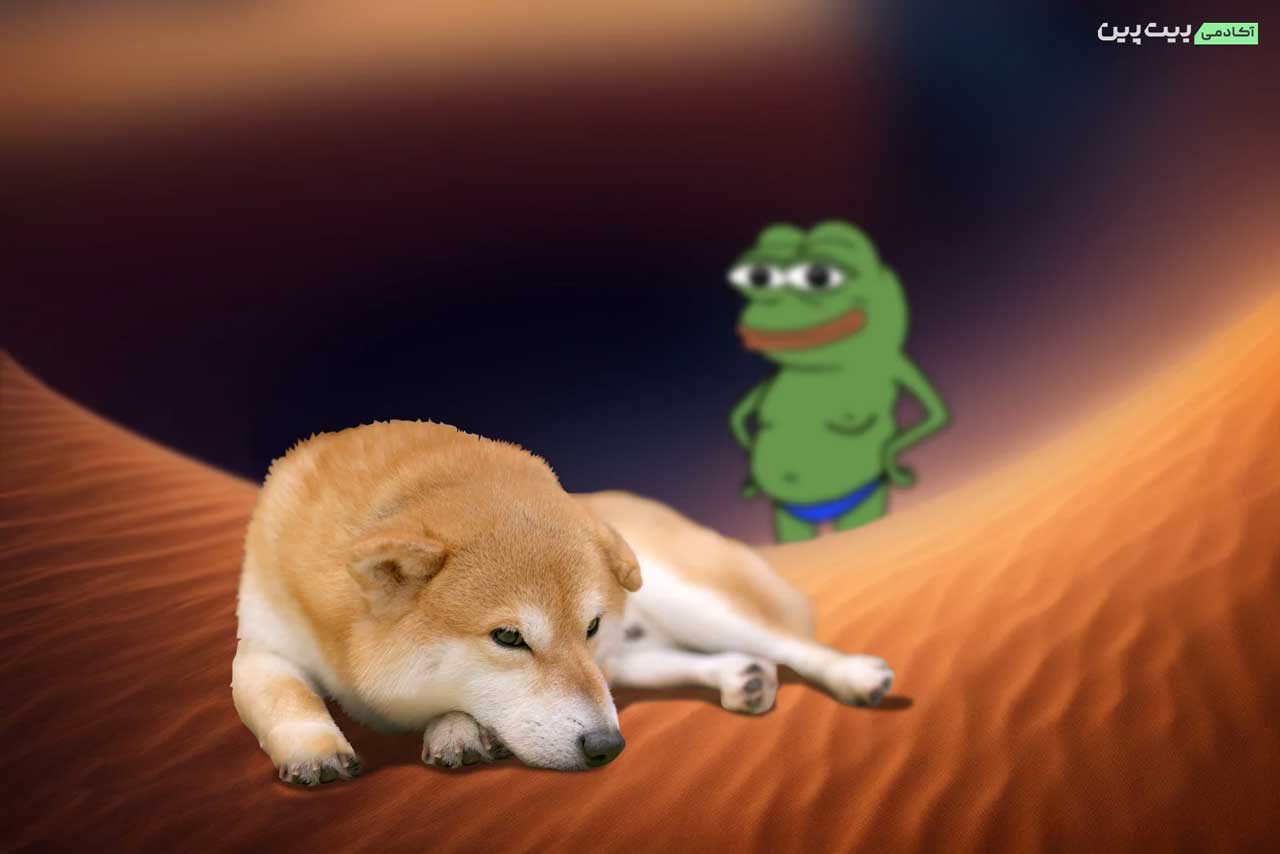 ارز پپه چیست