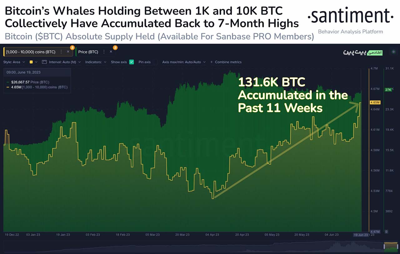 Whales buying while the crowd watches
