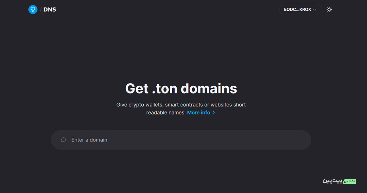 ton dns