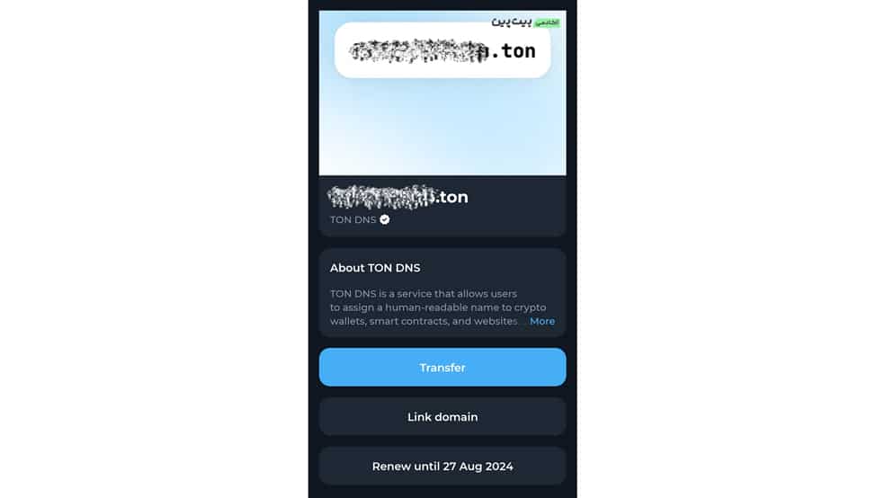 گذاشتن نام دامنه تن روی کیف پول