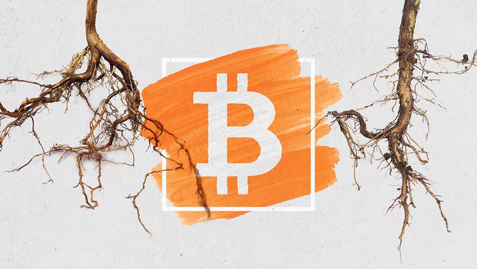 پروتکل اوردینالز بیت کوین