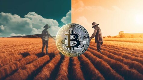 آزمایش؛ دیفای فارمینگ آربیتروم در مقابل بیت کوین