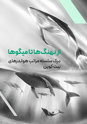 کتابچه الکترونیک از نهنگ‌ها تا میگوها؛ درک سلسله مراتب هولدرهای بیت کوین