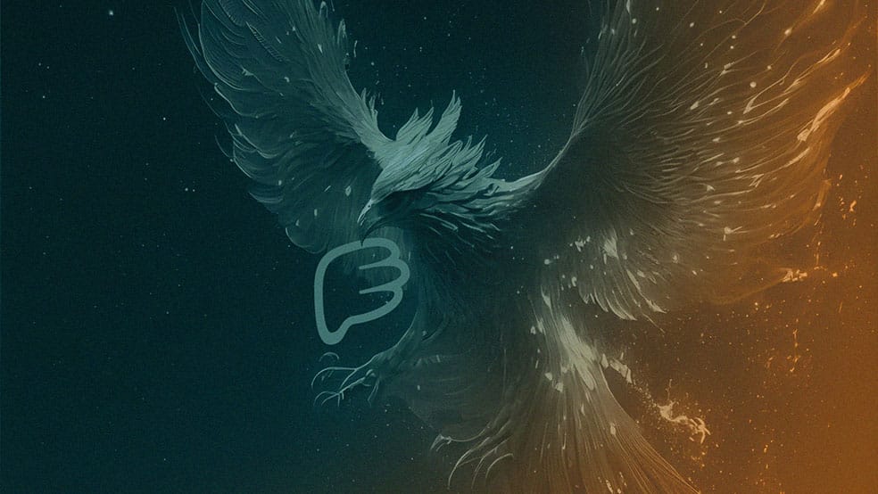 کیف پول فونیکس (Phoenix)؛ بهترین کیف پول غیرحضانتی شبکه لایتنینگ بیت کوین