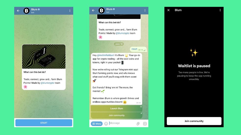 شروع بازی بلوم
