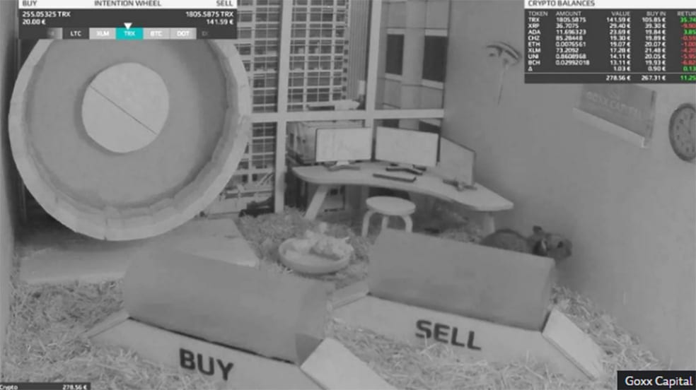 h7 سازندگان همستر کامبت: نوابغ بازاریابی یا طنزپردازان مدرن؟