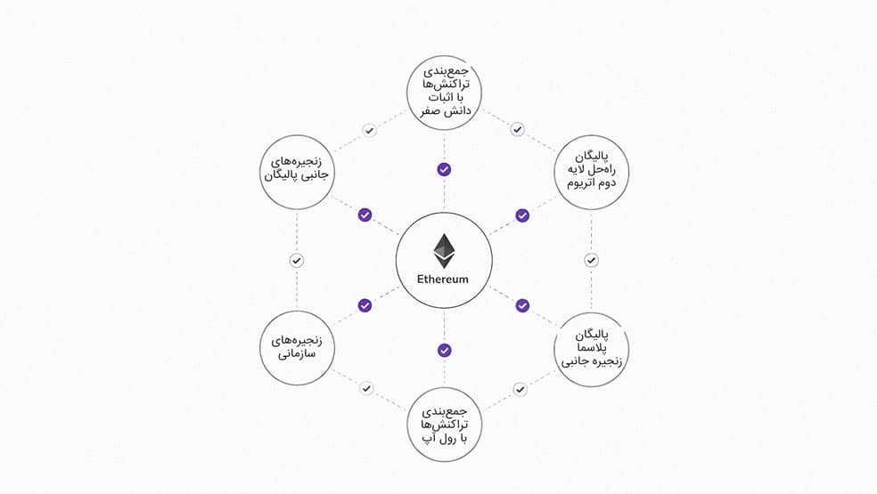 اجزای تشکیل دهنده پالیگان