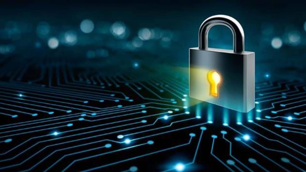 Security آشنایی با کیف پول ددالوس + آموزش راه‌اندازی فول نود کاردانو