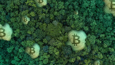 چگونه بیت کوین می‌تواند محیط زیست را نجات دهد