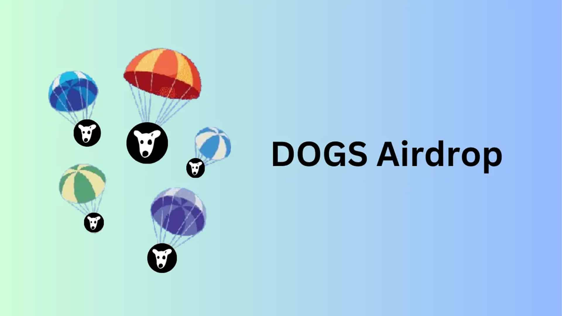 ایردراپ بزرگ DOGS
