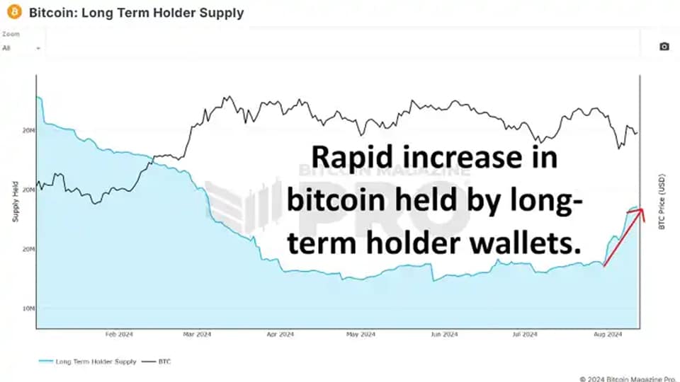 01 43 گزارش Bitcoin Magazine: آیا نهنگ‌های بیت کوین در حال خرید در کف هستند؟