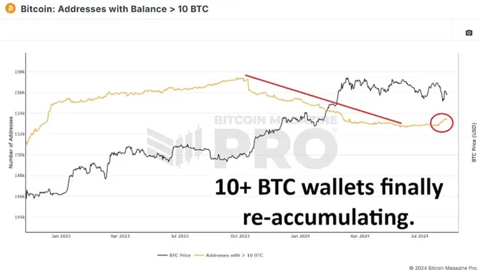 04 13 گزارش Bitcoin Magazine: آیا نهنگ‌های بیت کوین در حال خرید در کف هستند؟