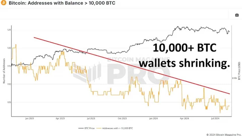 05 6 گزارش Bitcoin Magazine: آیا نهنگ‌های بیت کوین در حال خرید در کف هستند؟