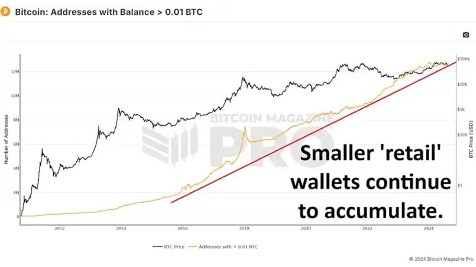 06 2 گزارش Bitcoin Magazine: آیا نهنگ‌های بیت کوین در حال خرید در کف هستند؟
