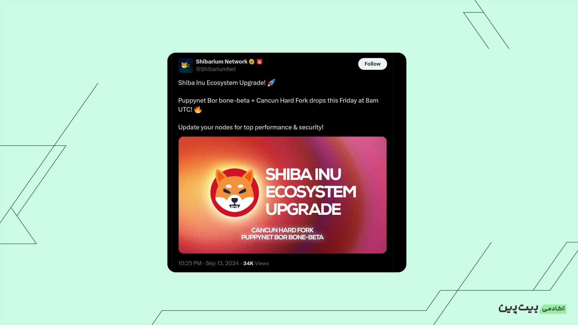 01 43 آپدیت جدید شیبا در شبکه تست‌نت پاپی نت