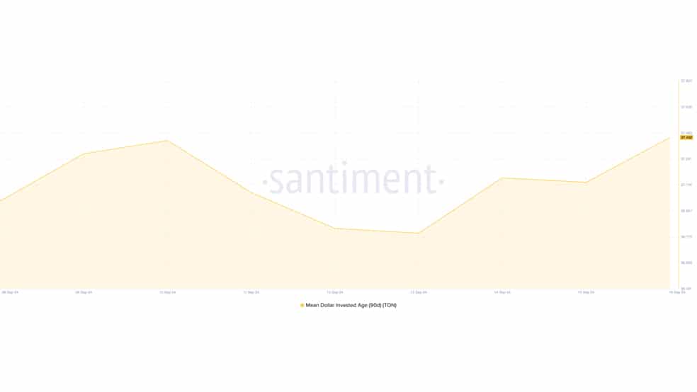 02 53 1 میلیارد دلار استیبل کوین تتر در شبکه تون کوین: آیا قیمت برای 8 دلار آماده می‌شود؟