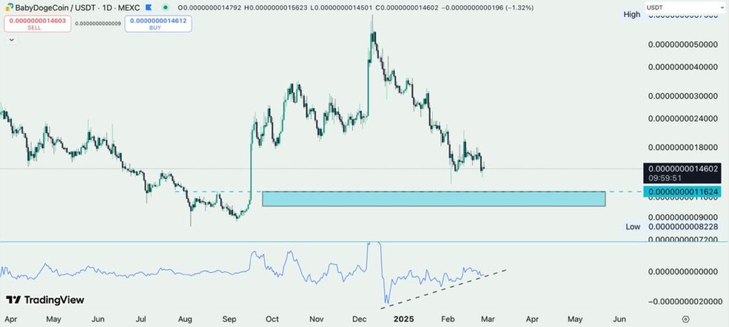 1403 12 08 18.04.21 تحلیل تکنیکال بیبی دوج (BABYDOGE)؛ حمایت بعدی کجاست؟ | ۸ اسفند