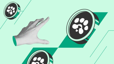 آینده پاوز (PAWS) تا 2030؛ آیا این پروژه جایی در آینده کریپتو دارد؟