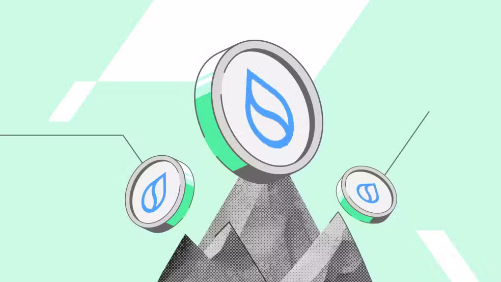 سویی