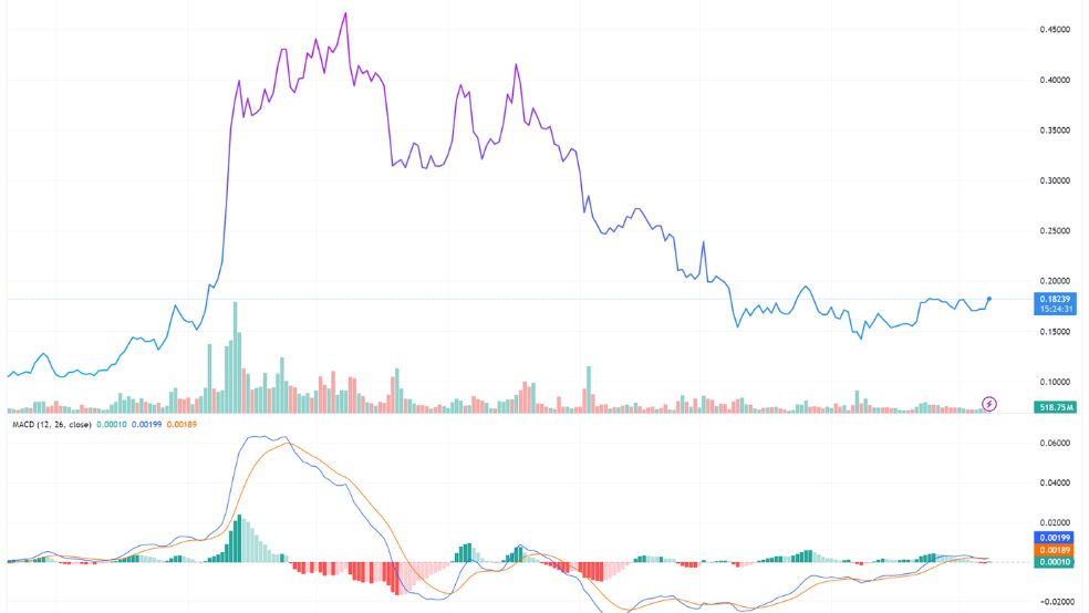 Doge chart چه چیزی دوج کوین و شیبا اینو را دوباره به پرواز درآورد؟