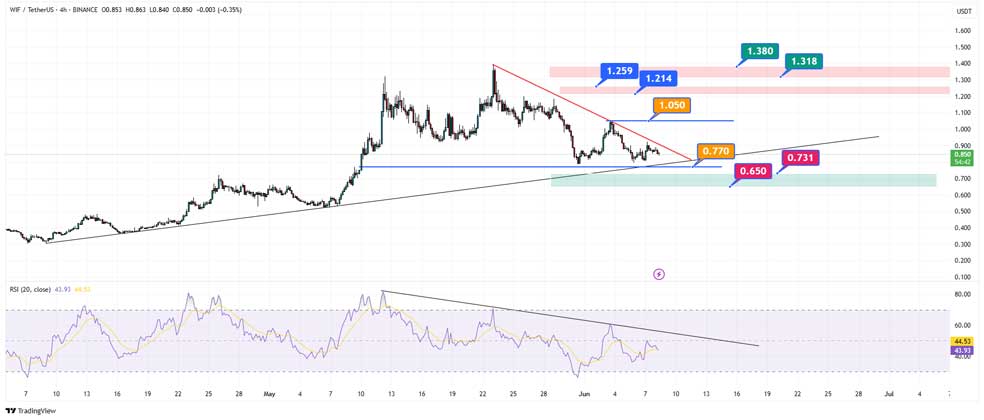 داگ ویف هت (WIF) - میم کوینی که مستعد رشد است!