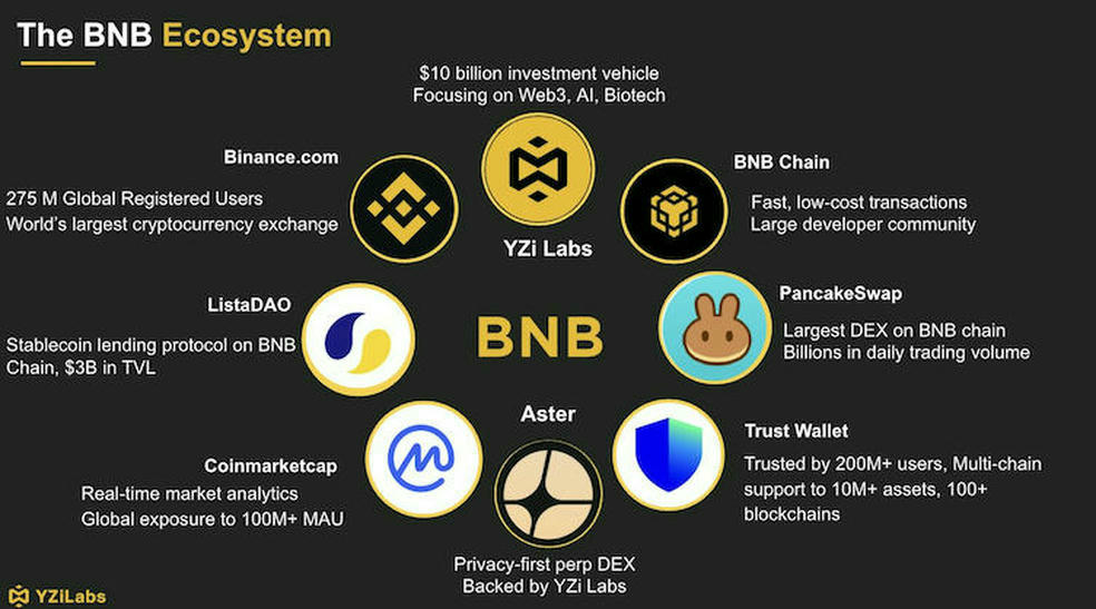 1.1 17 پشت پرده رشد BNB؛ YZi Labs و صندوق ۱ میلیارد دلاری