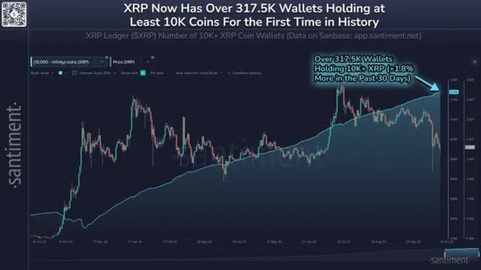1.1 54 تعداد هولدرهای بزرگ XRP رکورد زد: آیا خبری در راه است؟