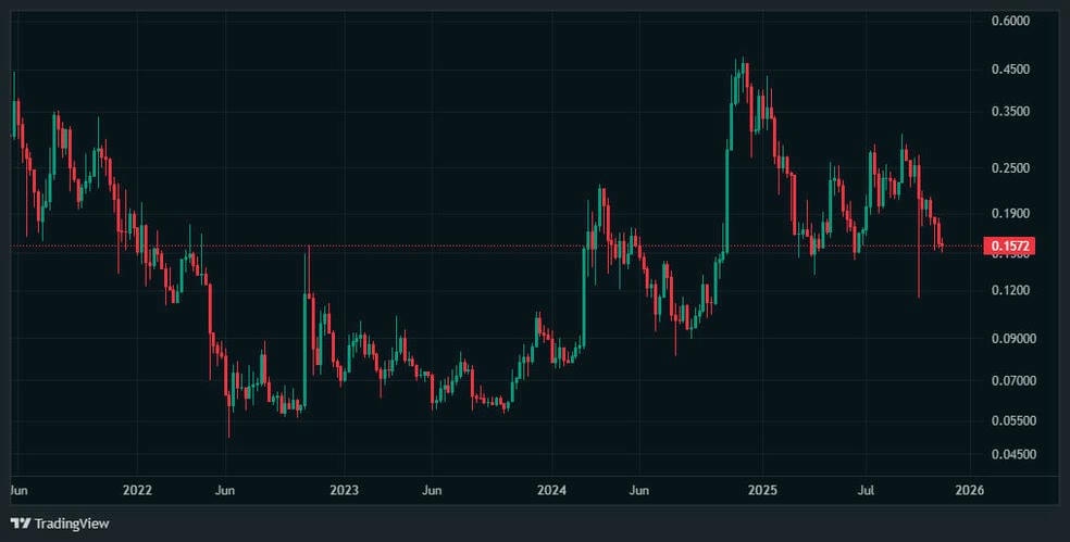 1.1 55 ۲۴ نوامبر، روز سرنوشت‌ساز دوج کوین (DOGE)
