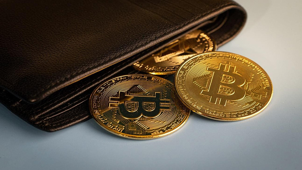 بیت کوین 1 در حال حاضر کدام آلتکوین‌ها بیشترین تعداد هولدر را دارند؟