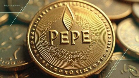 جهش بزرگ پپه و بونک؛ آیا بهترین زمان خرید میم کوین است؟