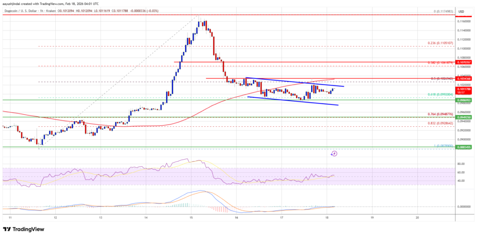 Doegcoin DOGE 1e0feb e1771404244689 گاوها در حال خرید دوج کوین در کف هستند!