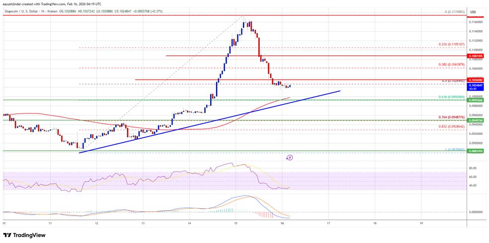 Doegcoin DOGE b1e474 آیا حالا بهترین زمان خرید دوج کوین است؟ تحلیل تکنیکال دوج کوین