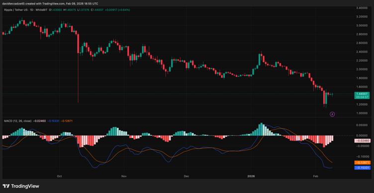 IMAGE 2026 02 10 151035 پیش‌بینی قیمت ریپل؛ آیا XRP می‌تواند به ۷ دلار برسد؟