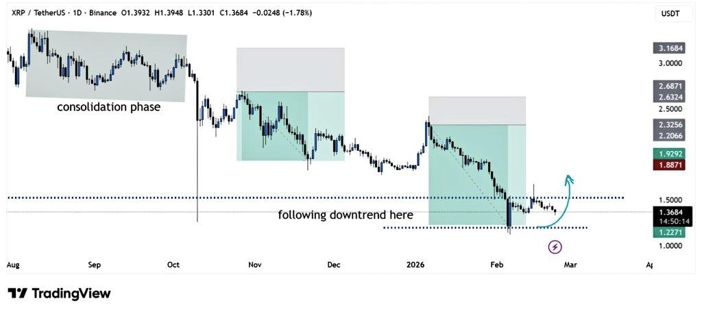 IMAGE 2026 02 24 122029 1 ورود ۳۱ میلیون XRP به بایننس: نهنگ‌ها چه نقشه‌ای دارند؟