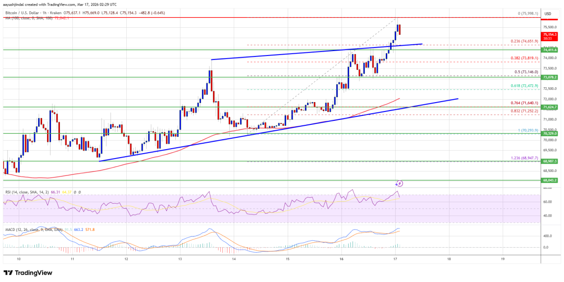 Bitcoin f6cbfd آیا رالی دیروز بیت کوین می‌تواند تا ۸۰ هزار دلار ادامه یابد؟