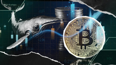 انتقال مهم و مرموز بیت کوین
