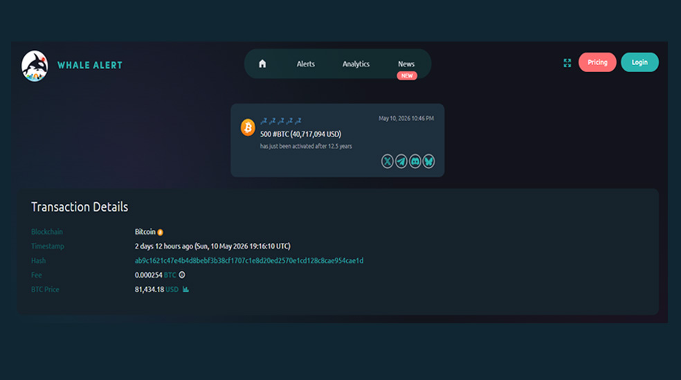 انتقال ۵۰۰ بیت کوین توسط نهنگ بیت کوین